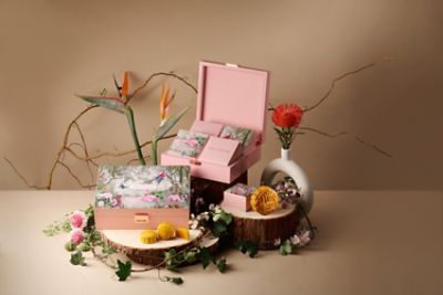 tl_mooncake_masthead