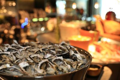 save our shells project