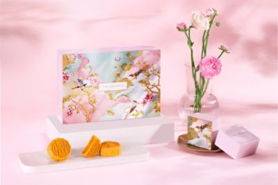 tl_mooncake_deluxe_mini_mooncake_assortment