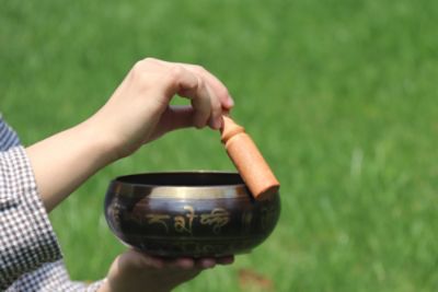 cddql-experiences-step-inside-himalaya-bowl.jpg