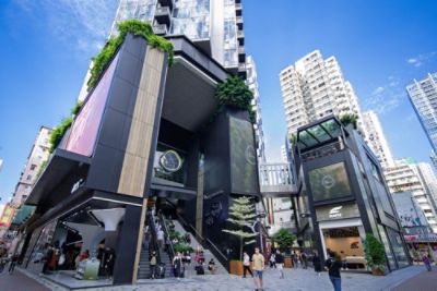 cdhkg-cordis-experiences-the-forest