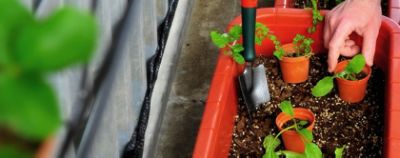 CDAKL Corporate Social Responsibility Enviornment Masthead