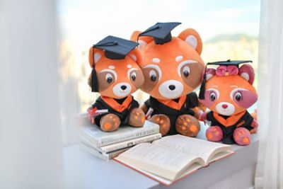 social gatherings header