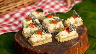 RED PANDA PICNIC FUN