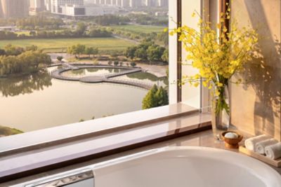 Executive Suite living Bathroom