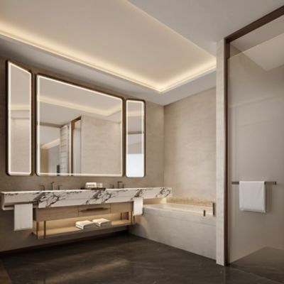 Executive Suite bathroom room