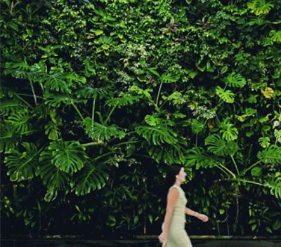 Green Wall in lobby