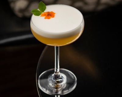 tlchi-offers-playtime-with-paddington