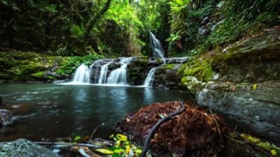 tlgdc-our-neighbourhood-lamington
