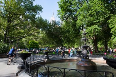 tlnyc-discover-new-york-madison-square-park.jpg
