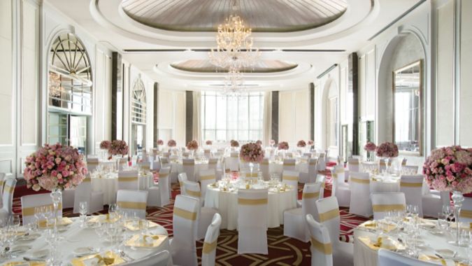 120cm セット Scimi Commander デッキショーケースボックス サイコロトレイ付き